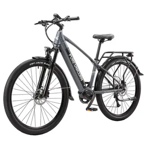 PURE UNICORN U6 Electric Bike 500W 48V 14Ah Grey