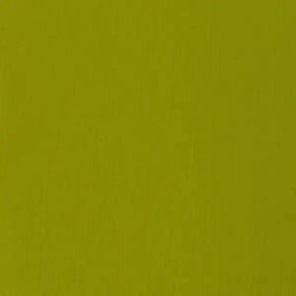 Akrylová barva Basics 118ml – 218 light olive green