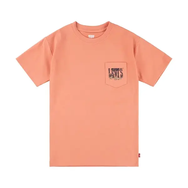 Dětské tričko Levi's CANYON LANDSCAPE TEE oranžová barva, s potiskem, 8EM301