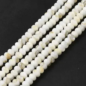Natural Freshwater Shell Beads Strands