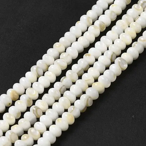 Natural Freshwater Shell Beads Strands