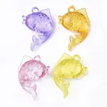 Transparent Acrylic Pendants
