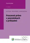 Pracovné právo v poznámkach s príkladmi - Jana Žuľová, Marcel Dolobáč, Monika Minčičová - kniha z kategorie Pracovní právo