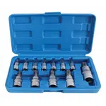 Zástrčné hlavice TORX-TS s otvorem 1/4", 3/8" a 1/2", TS8-TS60, sada 12 ks - SATRA