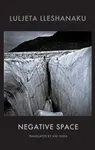 Negative Space - Luljeta Lleshanaku