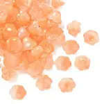 Transparent Glass Beads Caps