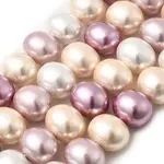 Shell Pearl Beads Strands