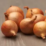 Shallots Golden Gourmet Cibuľa sadzačka  0,5 kg 7-14 mm