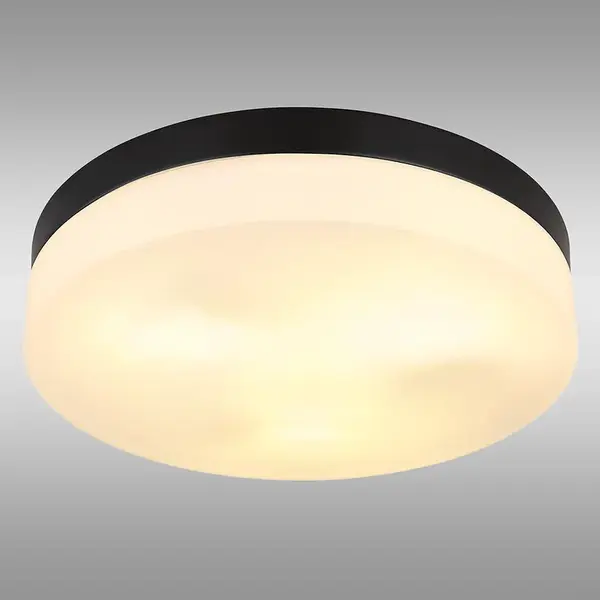 Stropní svítidlo Vranos 32113B PLD1