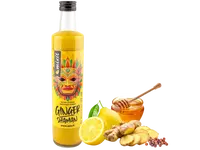 MIXIT Ginger Shaman – Zázvorový nápoj 500 ml