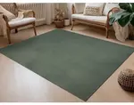 Koberec Albi 120x170 cm, zelený