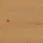 Dlažba Rako Bricola Outdoor Ale 60x60 cm mat DAR66850.1