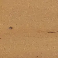 Dlažba Rako Bricola Outdoor Ale 60x60 cm mat DAR66850.1