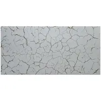 Panel desert 4 xl 50x100cm 1bal=4m2