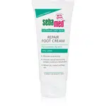 Sebamed Extreme Dry Skin regenerační krém na nohy 10% Urea 100 ml