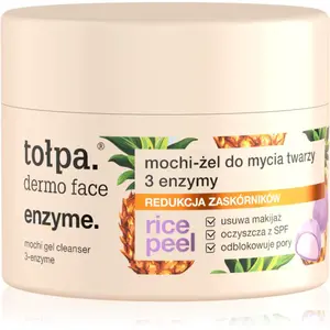 Tołpa Dermo Face Enzyme čisticí gel 110 ml