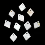 Natural Freshwater Shell Pendants