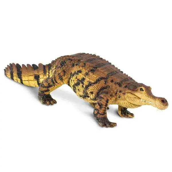 Safari® Sarcosuchus dinosaurus