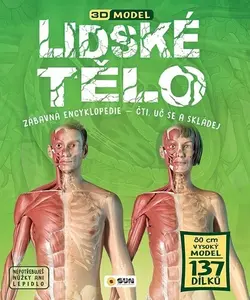 Lidské tělo - 3D model (poškozené)