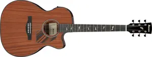 Ibanez PC34MHCE NT
