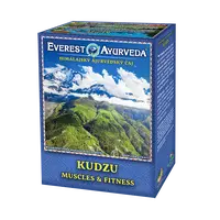EVEREST AYURVEDA Kudzu posílení svalstva a fitness  sypaný čaj 100 g