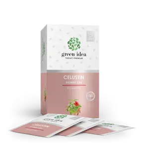 GREEN IDEA Celustin Bylinný čaj při celulitídě  20 x 1.5 g