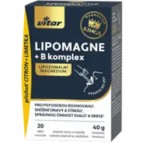 VITAR Lipomagne +B komplex 20 x 2 g