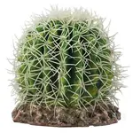HOBBY Kaktus Sonora M 15x15x13cm