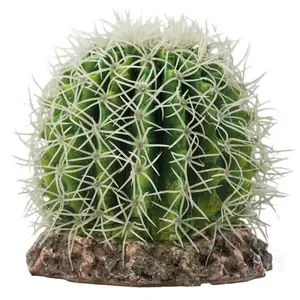 HOBBY Kaktus Sonora M 15x15x13cm