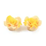 Smudged Color Frosted Resin Cabochons