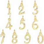 10Pcs 10 Styles Brass Micro Pave Clear Cubic Zirconia Charms
