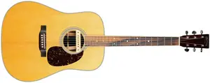 Martin 2022 D-35