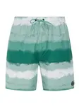 Men's beach shorts Protest PRTHAMSEY