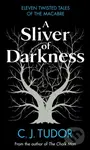 A Sliver of Darkness - C.J. Tudor - kniha z kategorie Detektivky, thrillery a horory
