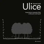 Ulice - Dominik Aleš - e-kniha