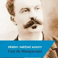 Příběhy pařížské kokoty - Guy de Maupassant - e-kniha