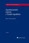 Zaměstnávání cizinců v České republice - Jakub Tomšej