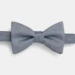 Hedvábný motýlek HUGO