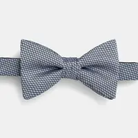 Hedvábný motýlek HUGO