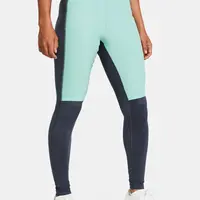 Sivé športové legíny Under Armour Launch Elite Tight