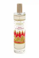 Pokojová vůně Esteban Berries And Winter Flower 75 ml
