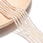 Natural Cultured Freshwater Pearl Beads Strands