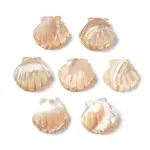 Natural Trochus Shell Carved Beads