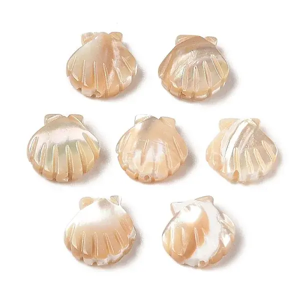 Natural Trochus Shell Carved Beads