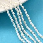Natural Cultured Freshwater Pearl Beads Strands