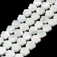 Natural Trochus Shell Beads Strands