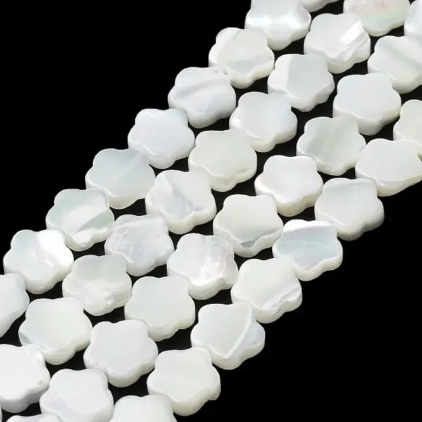 Natural Trochus Shell Beads Strands