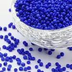 (Repacking Service Available) Glass Seed Beads