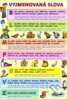 Vyjmenovaná slova - Petr Kupka, kolektív autorov - kniha z kategorie Pedagogika