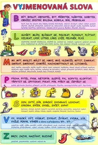 Vyjmenovaná slova - Petr Kupka, kolektív autorov - kniha z kategorie Pedagogika